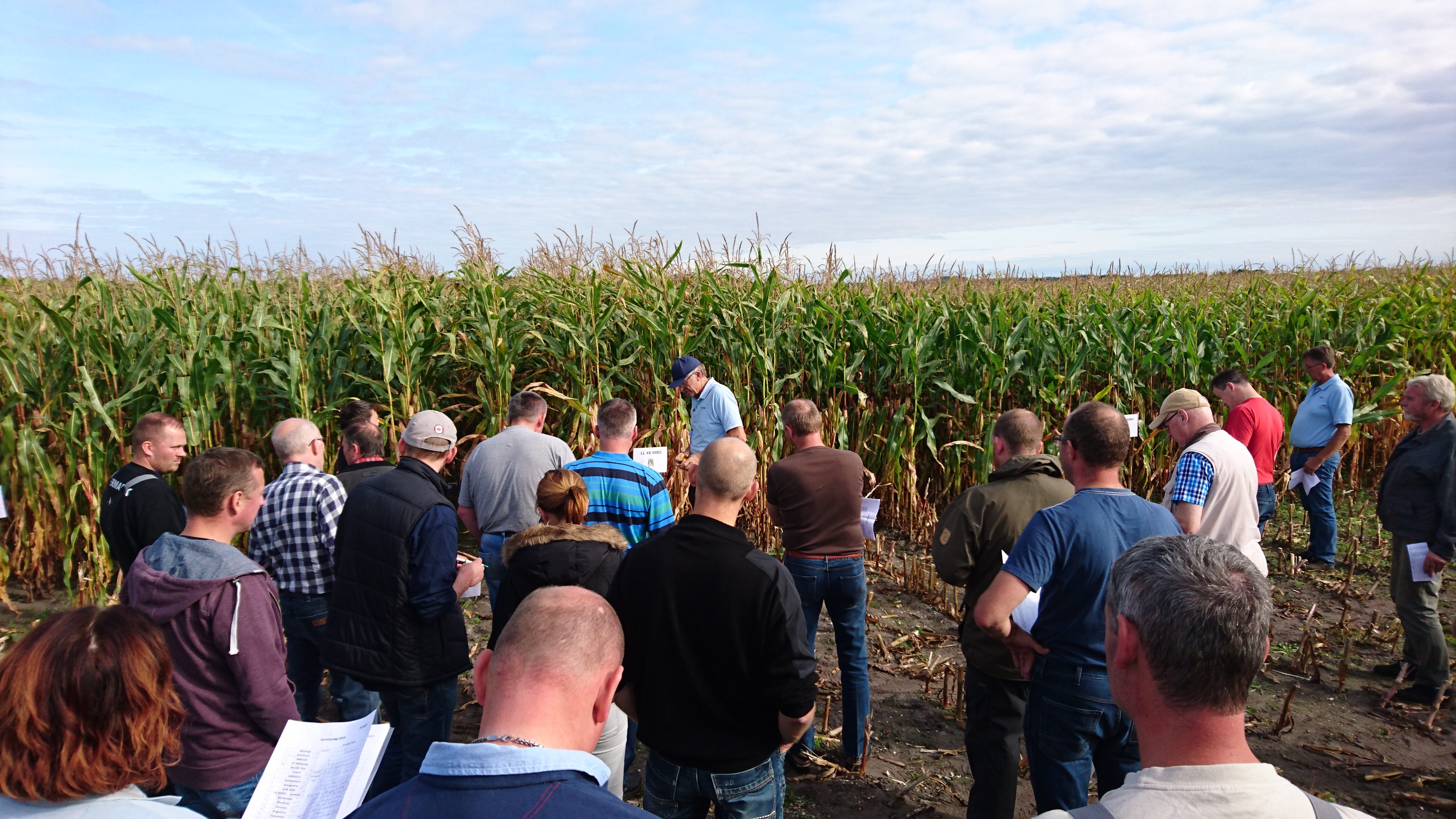 Majsforsøgfremvisning 2016