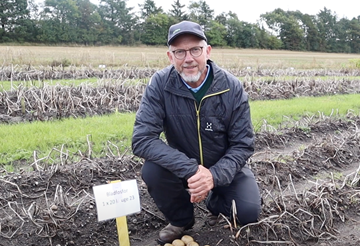 Video: Boost kartoffelplanten med bladfosfor