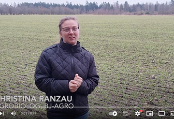Video: Husk mangan til vintersæden